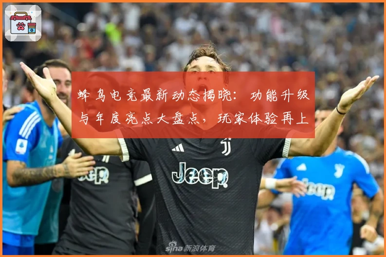 蜂鸟电竞最新动态揭晓：功能升级与年度亮点大盘点，玩家体验再上新高度