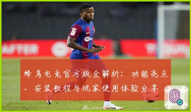 蜂鸟电竞官方版全解析：功能亮点、安装教程与玩家使用体验分享