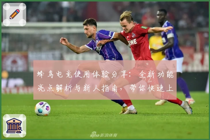 蜂鸟电竞使用体验分享：全新功能亮点解析与新人指南，带你快速上手