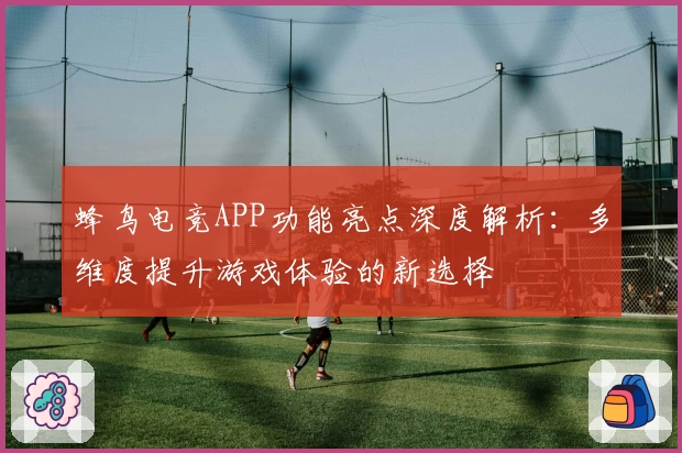 蜂鸟电竞APP功能亮点深度解析：多维度提升游戏体验的新选择