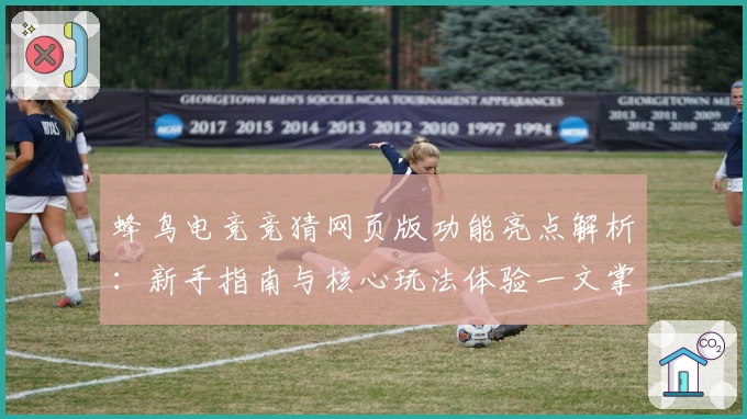 蜂鸟电竞竞猜网页版功能亮点解析：新手指南与核心玩法体验一文掌握
