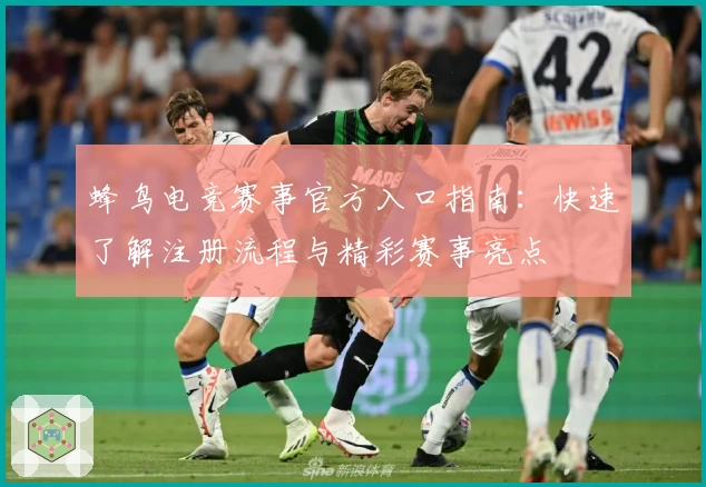 蜂鸟电竞赛事官方入口指南：快速了解注册流程与精彩赛事亮点