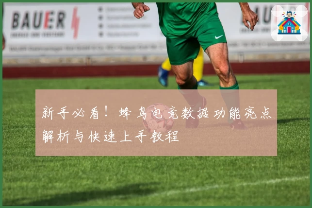 新手必看！蜂鸟电竞数据功能亮点解析与快速上手教程