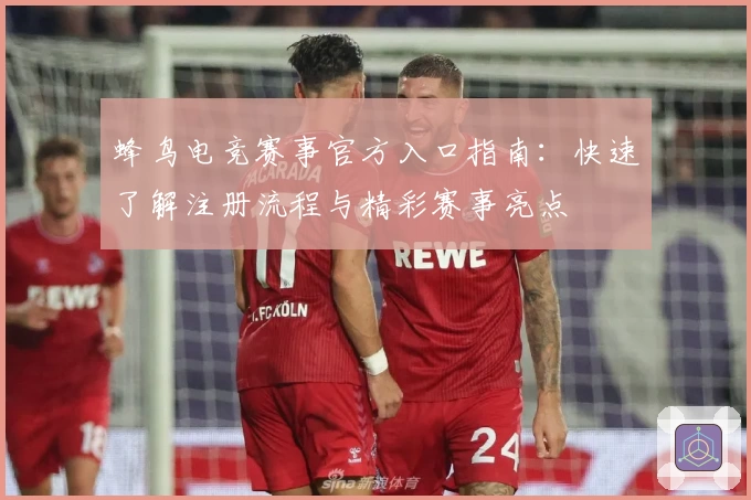 蜂鸟电竞赛事官方入口指南：快速了解注册流程与精彩赛事亮点