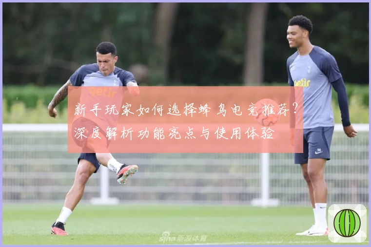 新手玩家如何选择蜂鸟电竞推荐?深度解析功能亮点与使用体验