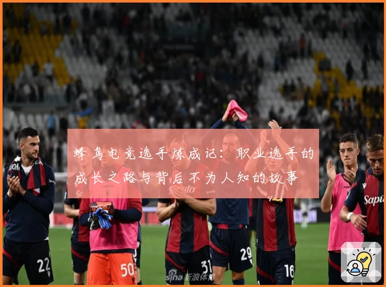 蜂鸟电竞选手炼成记：职业选手的成长之路与背后不为人知的故事