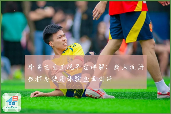 蜂鸟电竞正规平台详解:新人注册教程与使用体验全面测评