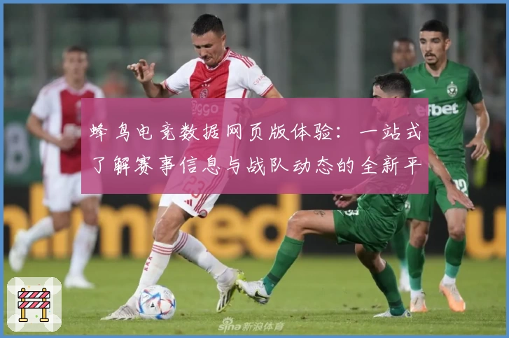蜂鸟电竞数据网页版体验：一站式了解赛事信息与战队动态的全新平台