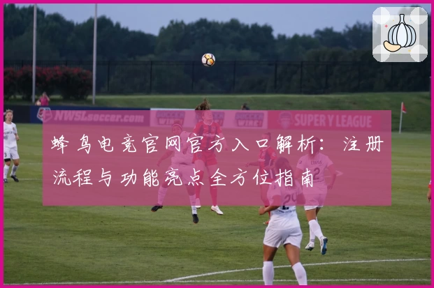 蜂鸟电竞官网官方入口解析：注册流程与功能亮点全方位指南