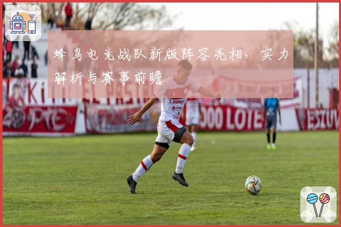 蜂鸟电竞战队新版阵容亮相，实力解析与赛事前瞻