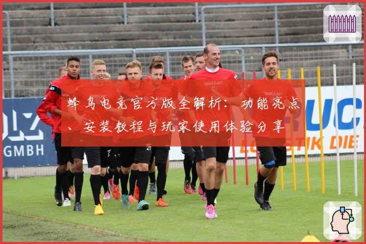 蜂鸟电竞官方版全解析：功能亮点、安装教程与玩家使用体验分享