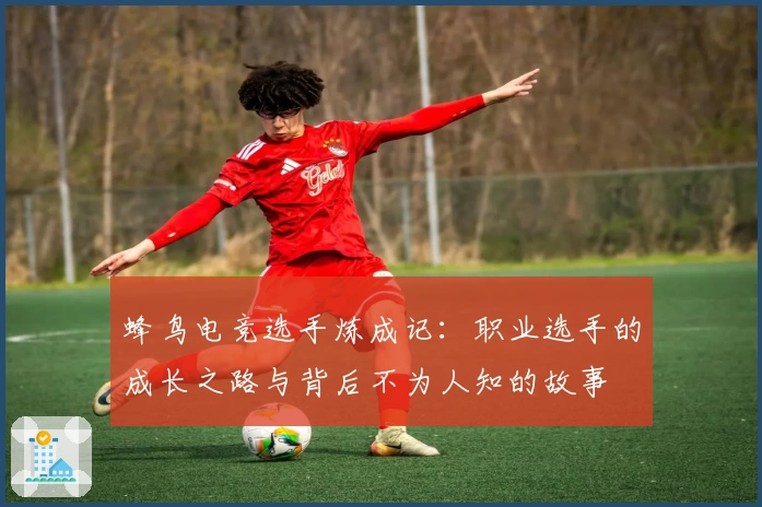 蜂鸟电竞选手炼成记:职业选手的成长之路与背后不为人知的故事