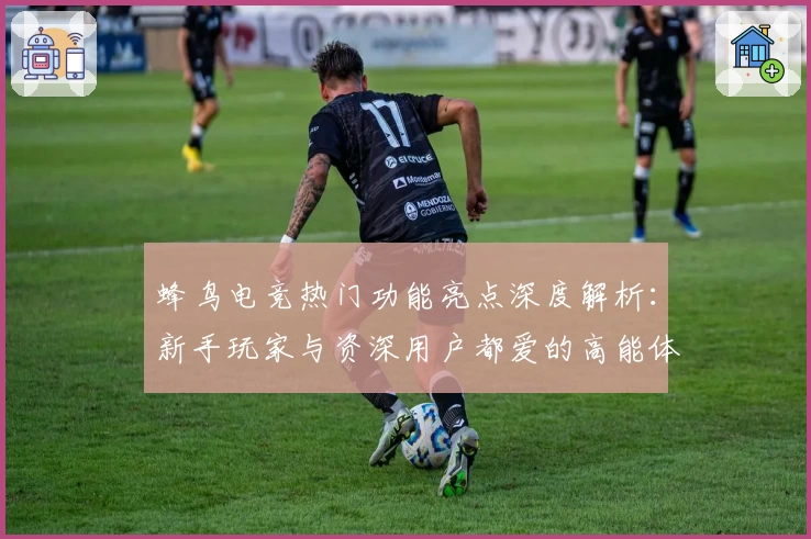 蜂鸟电竞热门功能亮点深度解析：新手玩家与资深用户都爱的高能体验