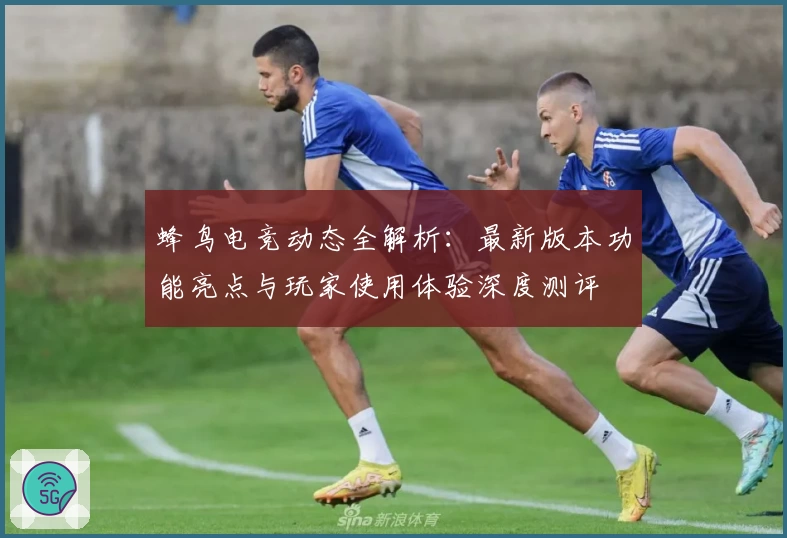 蜂鸟电竞动态全解析：最新版本功能亮点与玩家使用体验深度测评