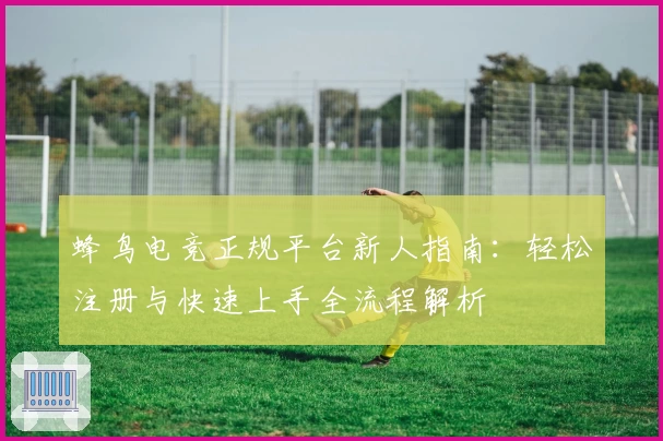 蜂鸟电竞正规平台新人指南：轻松注册与快速上手全流程解析