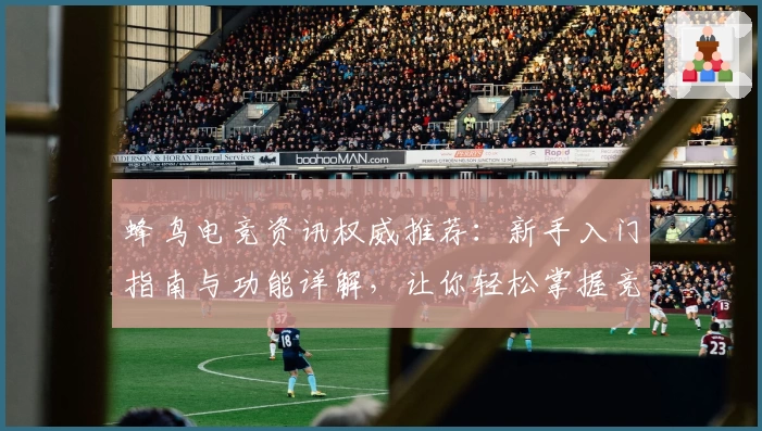 蜂鸟电竞资讯权威推荐：新手入门指南与功能详解，让你轻松掌握竞技最新动态