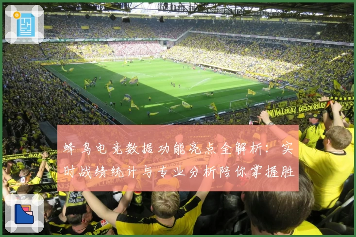 蜂鸟电竞数据功能亮点全解析：实时战绩统计与专业分析陪你掌握胜负关键