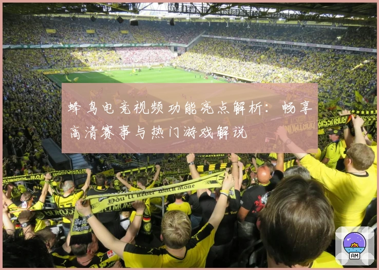 蜂鸟电竞视频功能亮点解析：畅享高清赛事与热门游戏解说