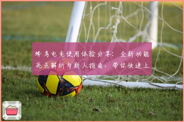 蜂鸟电竞使用体验分享：全新功能亮点解析与新人指南，带你快速上手
