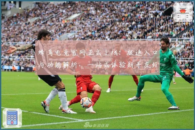 蜂鸟电竞官网正式上线:极速入口与功能解析,一站式体验新手友好平台