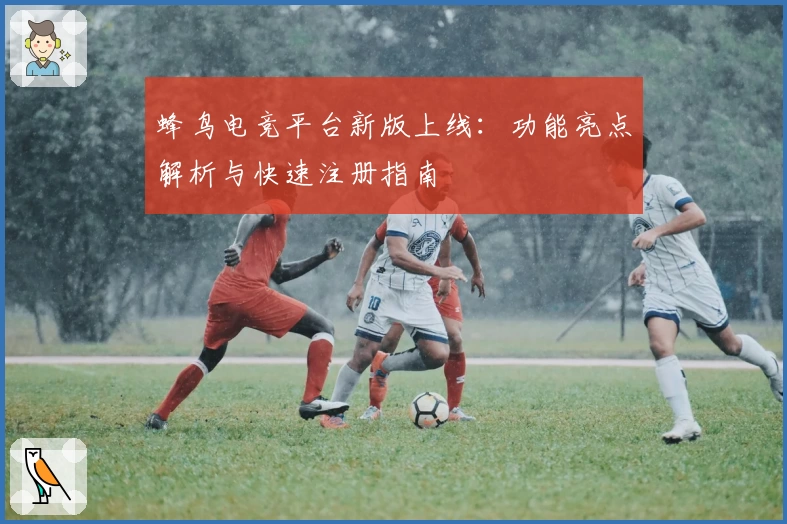 蜂鸟电竞平台新版上线：功能亮点解析与快速注册指南
