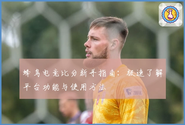 蜂鸟电竞比分新手指南：极速了解平台功能与使用方法