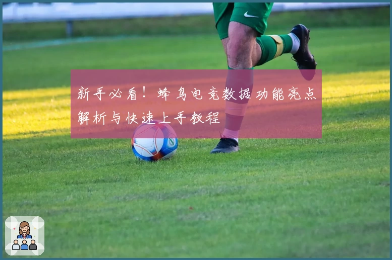 新手必看！蜂鸟电竞数据功能亮点解析与快速上手教程