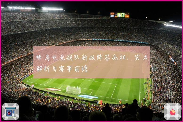 蜂鸟电竞战队新版阵容亮相,实力解析与赛事前瞻