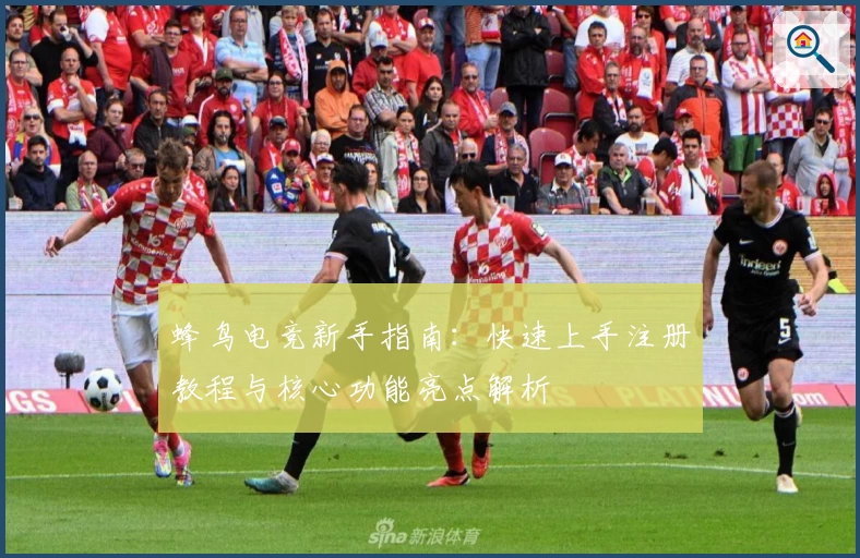 蜂鸟电竞新手指南：快速上手注册教程与核心功能亮点解析