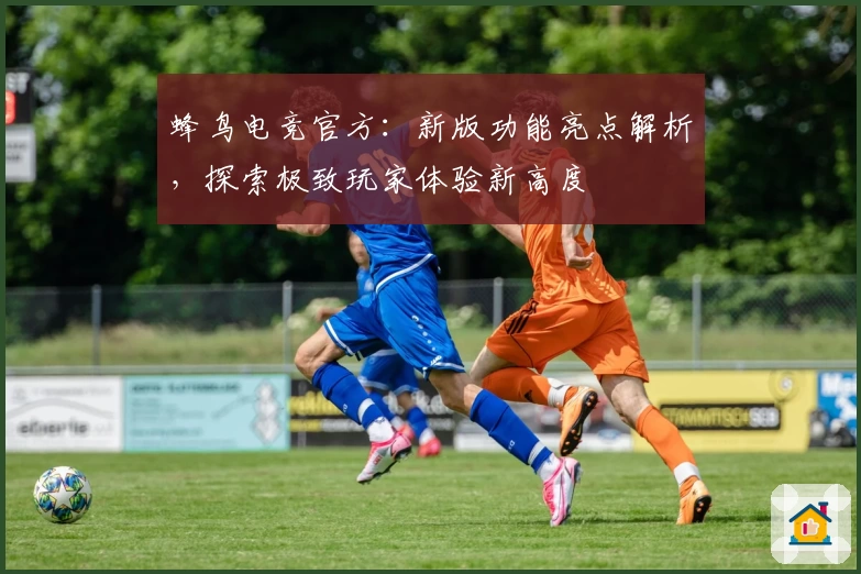 蜂鸟电竞官方:新版功能亮点解析,探索极致玩家体验新高度