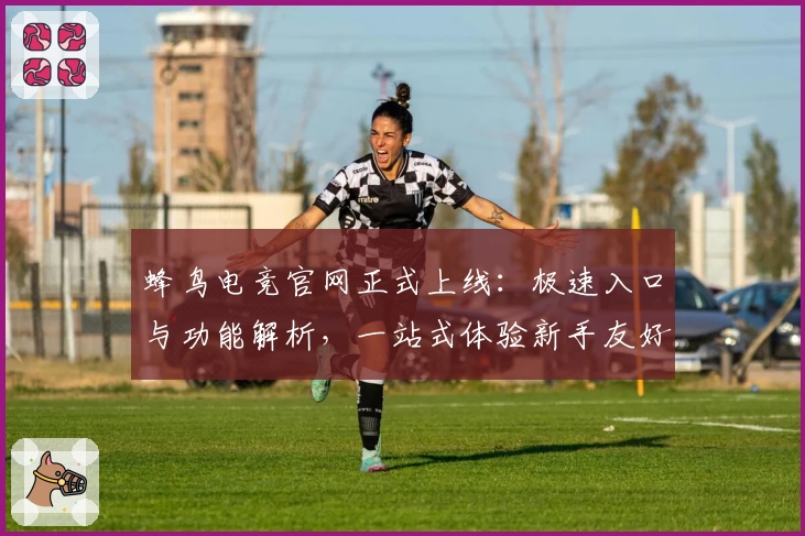 蜂鸟电竞官网正式上线：极速入口与功能解析，一站式体验新手友好平台