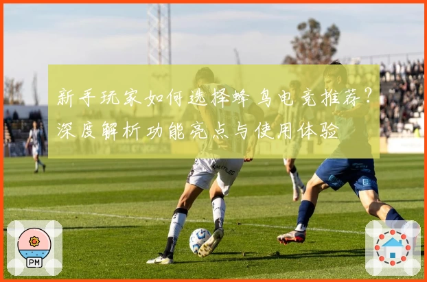 新手玩家如何选择蜂鸟电竞推荐?深度解析功能亮点与使用体验