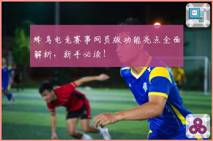 蜂鸟电竞赛事网页版功能亮点全面解析，新手必读！