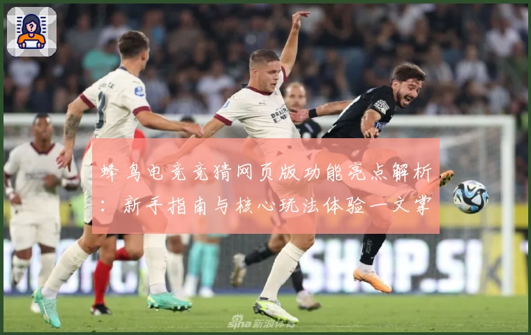 蜂鸟电竞竞猜网页版功能亮点解析：新手指南与核心玩法体验一文掌握