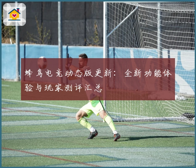 蜂鸟电竞动态版更新:全新功能体验与玩家测评汇总
