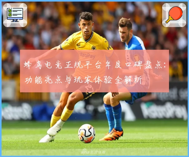 蜂鸟电竞正规平台年度口碑盘点：功能亮点与玩家体验全解析
