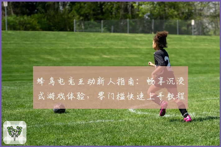 蜂鸟电竞互动新人指南：畅享沉浸式游戏体验，零门槛快速上手教程