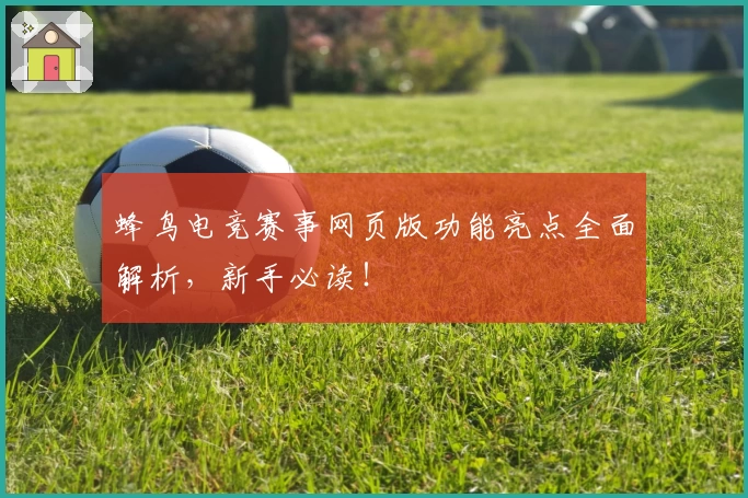 蜂鸟电竞赛事网页版功能亮点全面解析，新手必读！