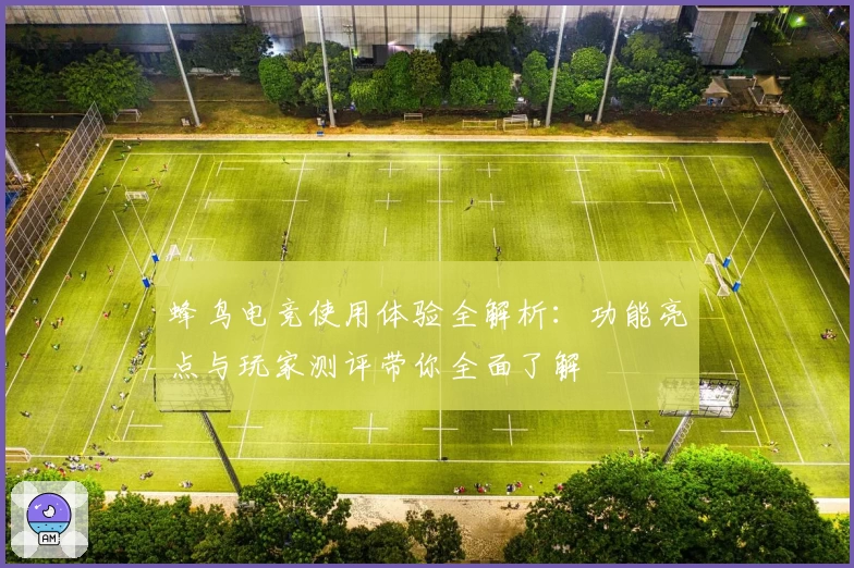 蜂鸟电竞使用体验全解析：功能亮点与玩家测评带你全面了解