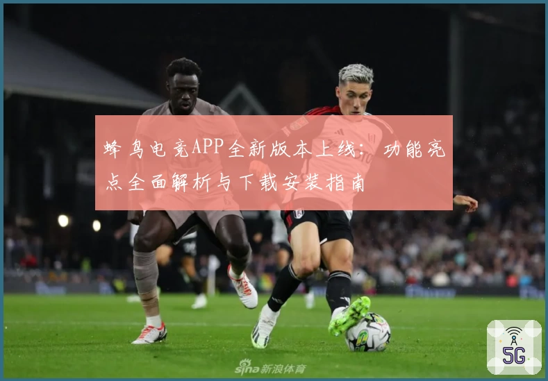 蜂鸟电竞APP全新版本上线：功能亮点全面解析与下载安装指南