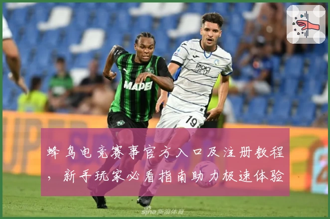 蜂鸟电竞赛事官方入口及注册教程，新手玩家必看指南助力极速体验